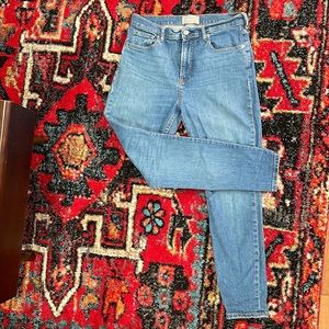 Everlane Skinny Jeans